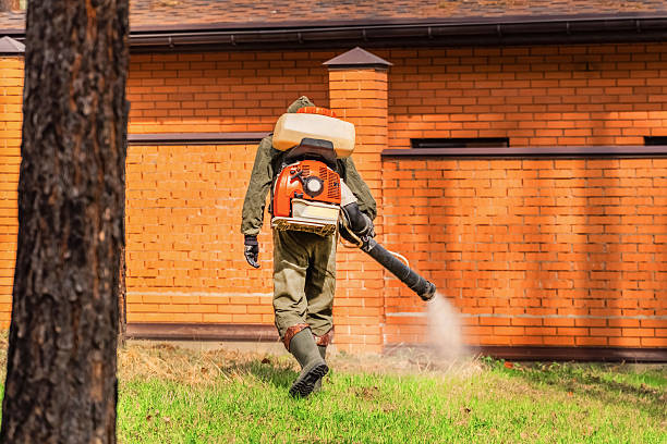 Trusted Termite Control service in Coopersburg, PA - Nex Pest Control